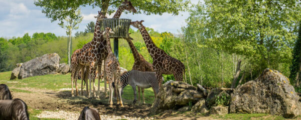 métiers animaliers du zoo