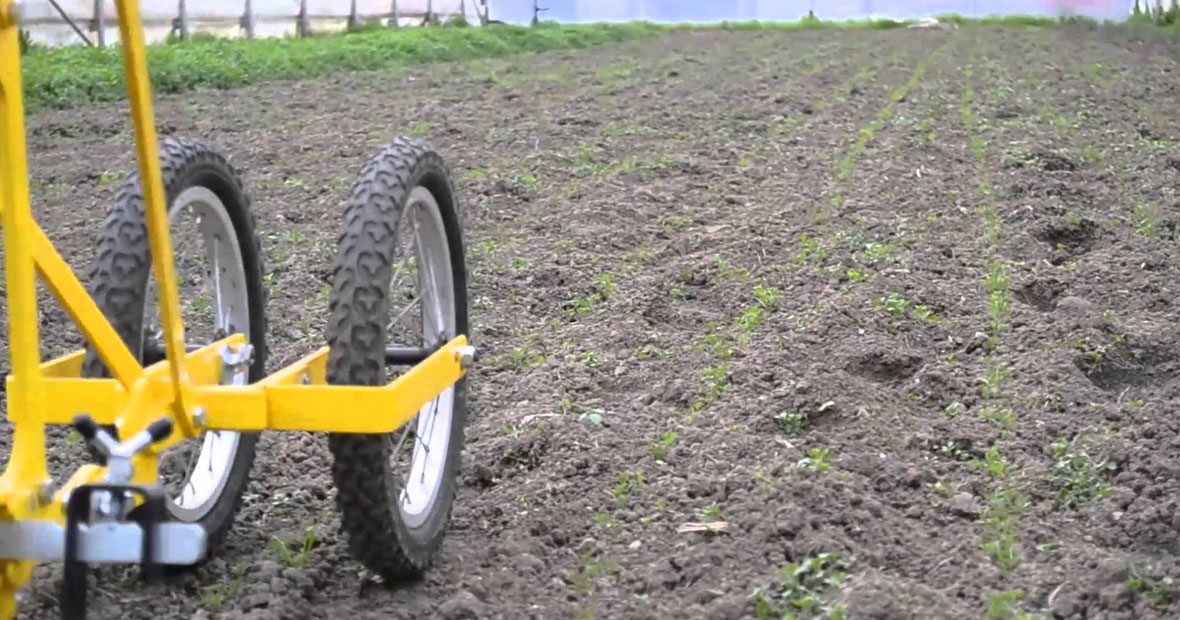 La houe maraîchère